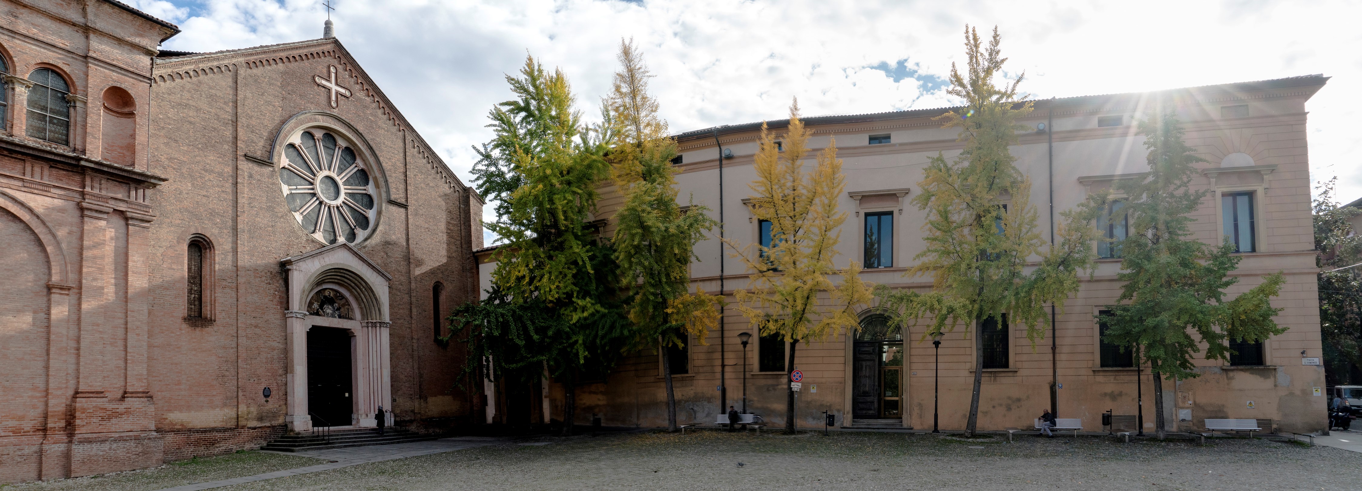 Foto procura ritagliata - bug